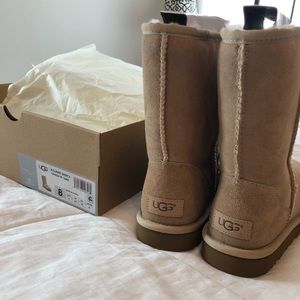 Women’s size 8 Ugg Women’s Classic Short II